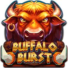 Buffalo Burst